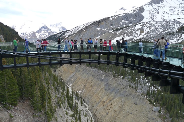 glass-bottom portion of observation platform